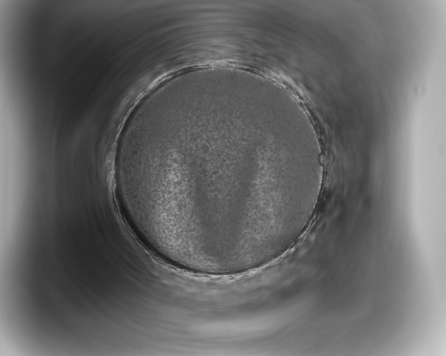 X0000098110002200804111104