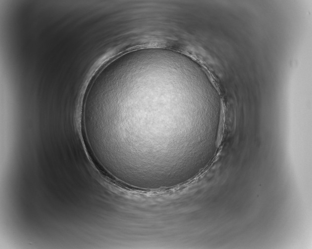 X0000098110003200804111104