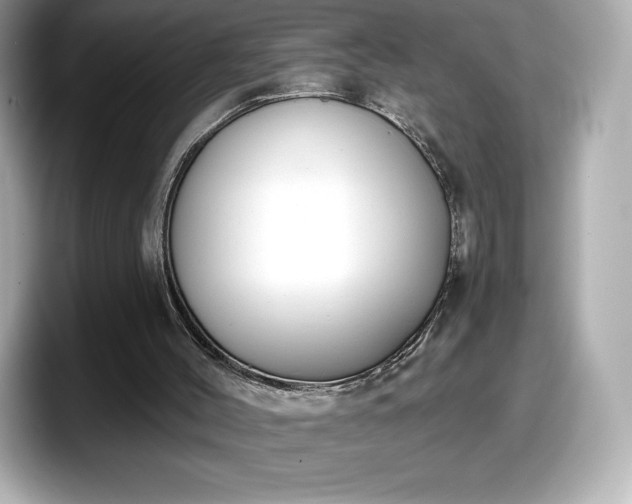 X0000098110004200804111104