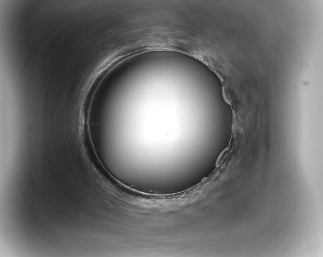 X0000098110005200804111104