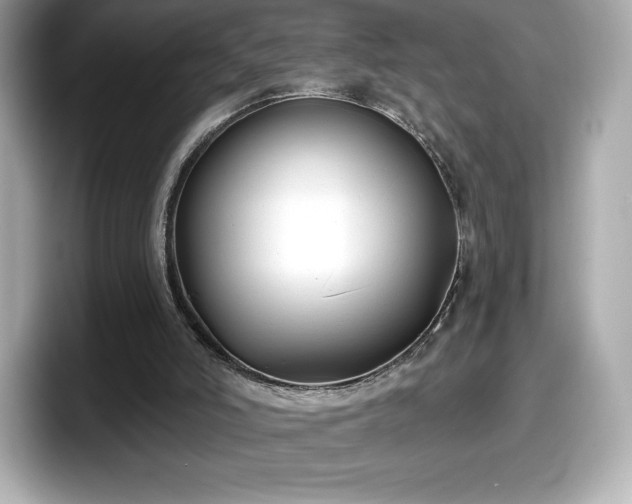 X0000098110006200804111104