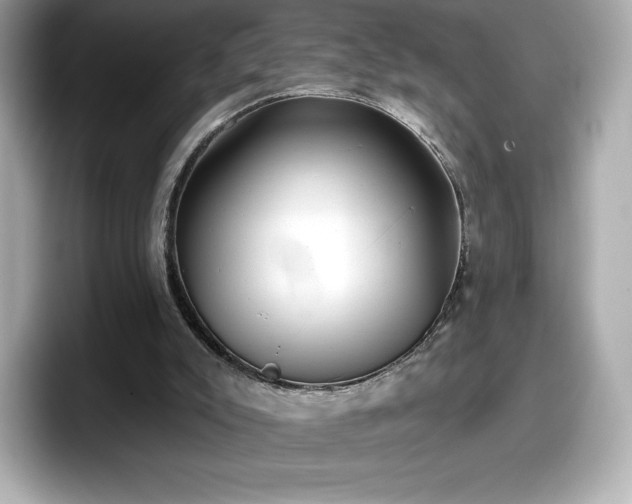 X0000098110007200804111104