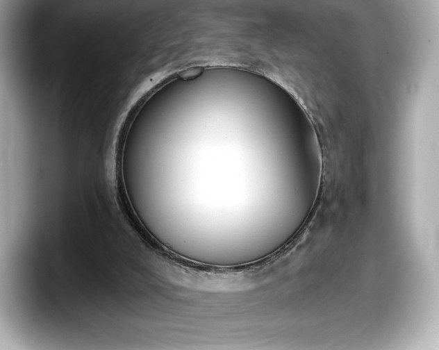 X0000098110008200804111104