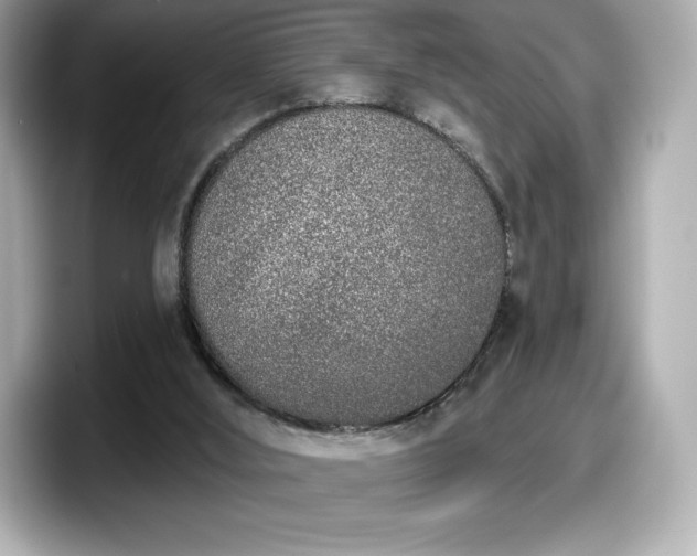 X0000098110012200804111104