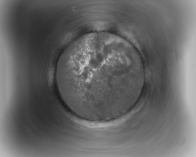X0000098110018200804111104