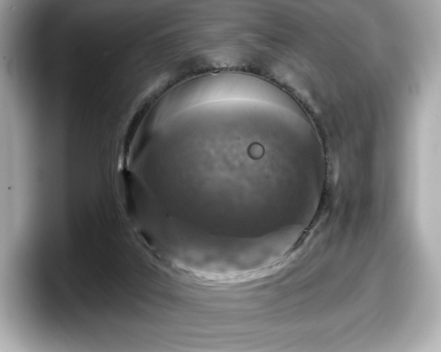 X0000098110019200804111104
