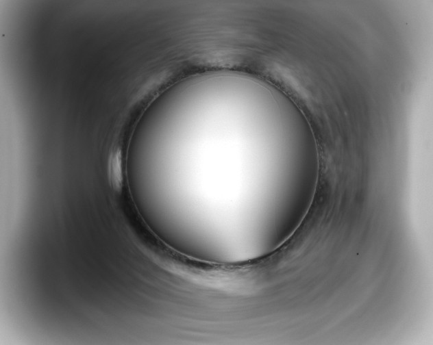 X0000098110020200804111104
