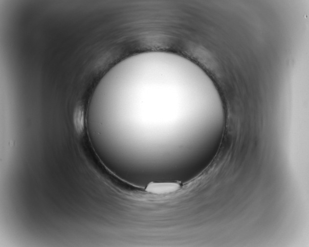 X0000098110021200804111104
