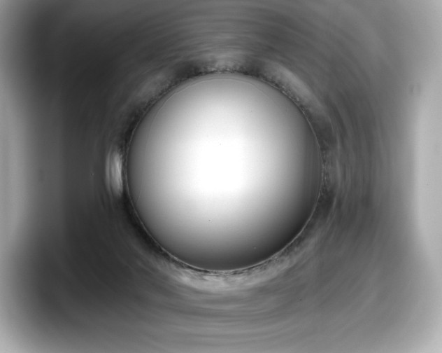 X0000098110022200804111104