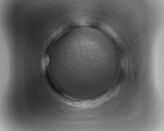 X0000098110023200804111104
