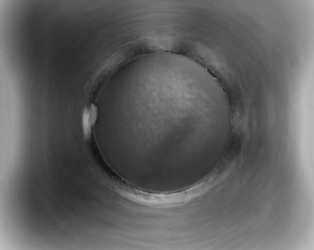 X0000098110027200804111104