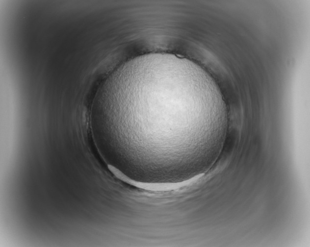 X0000098110029200804111104