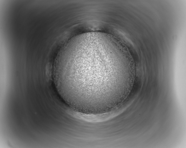 X0000098110030200804111104