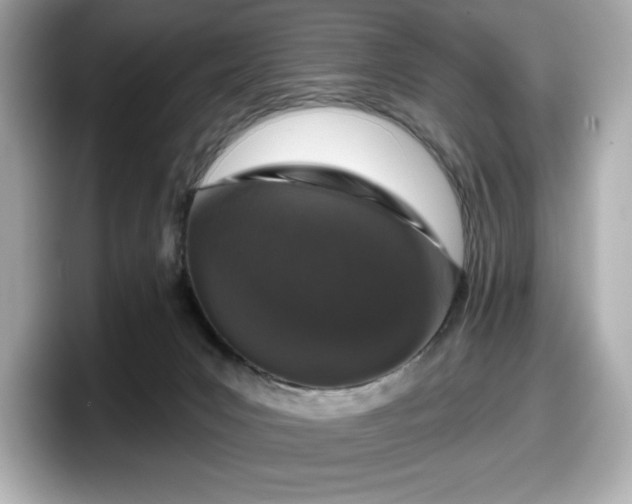 X0000098110031200804111104