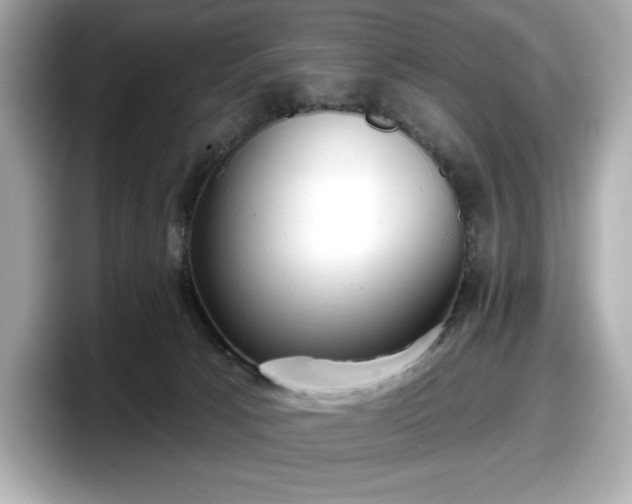 X0000098110033200804111104