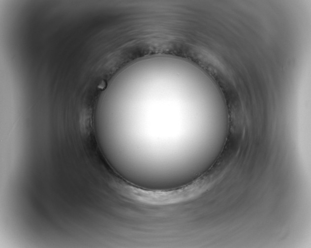 X0000098110034200804111104