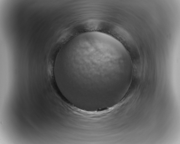 X0000098110035200804111104