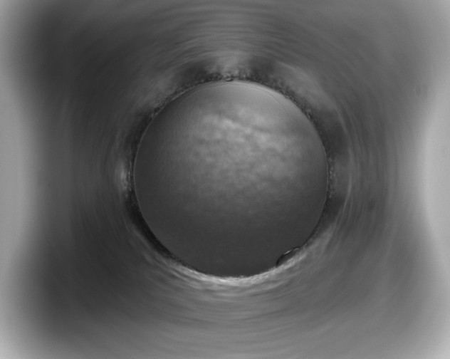 X0000098110039200804111104