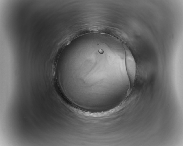 X0000098110043200804111104