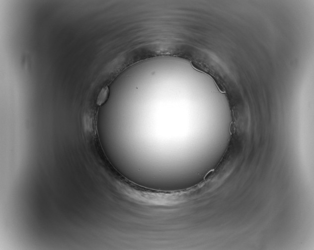 X0000098110044200804111104