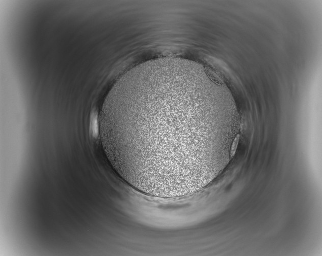 X0000098110046200804111104
