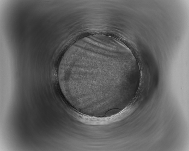 X0000098110048200804111104