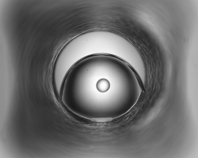 X0000098110049200804111103