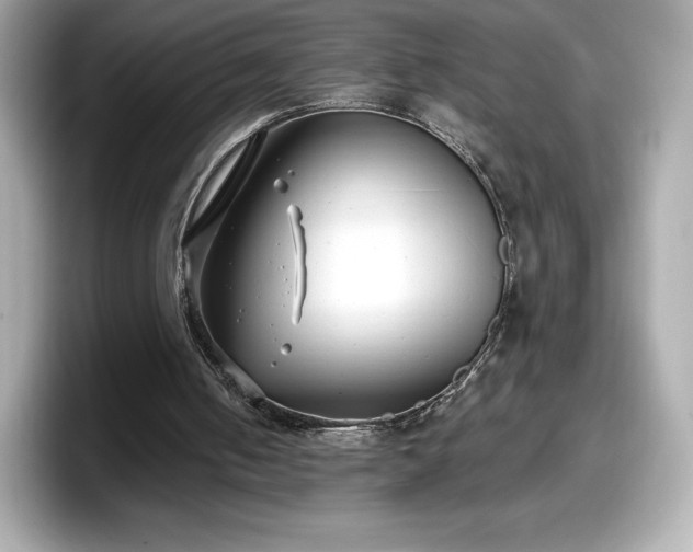 X0000098110050200804111103