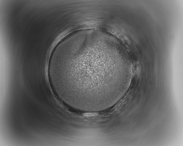 X0000098110051200804111103