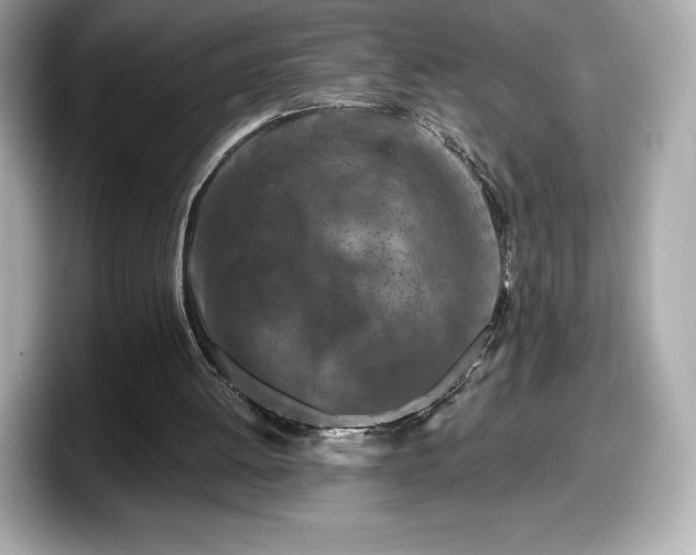 X0000098110052200804111103