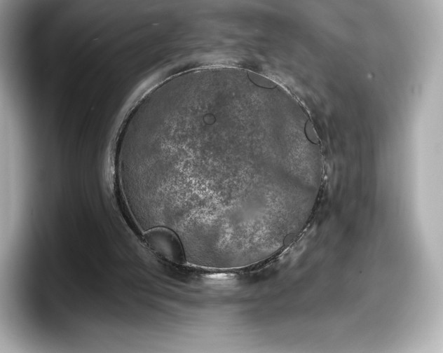 X0000098110053200804111103
