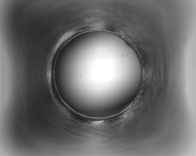 X0000098110054200804111103