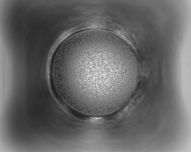 X0000098110055200804111103