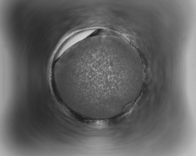 X0000098110056200804111103