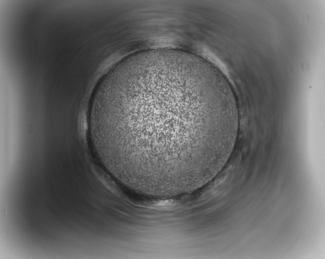X0000098110059200804111103