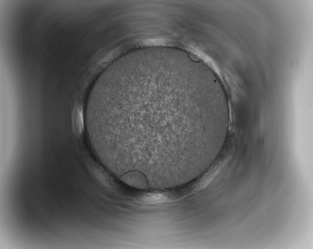 X0000098110061200804111103