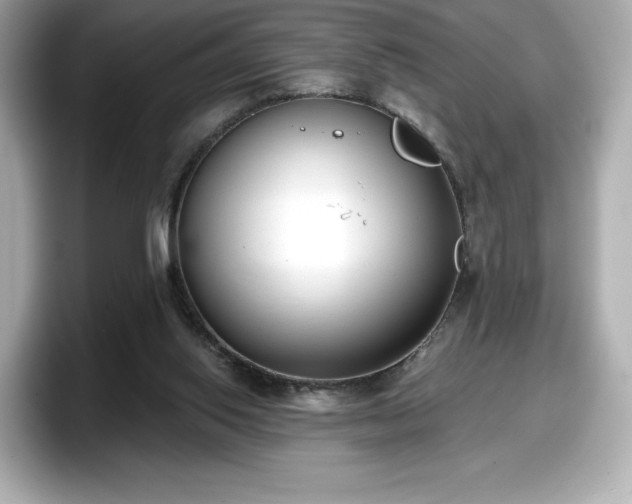X0000098110062200804111103