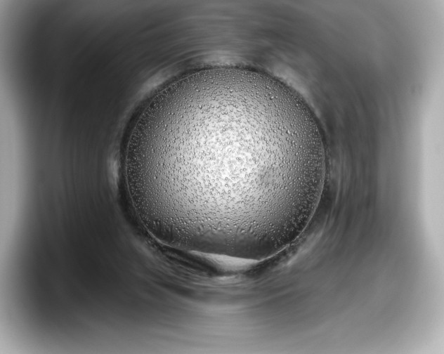 X0000098110063200804111103