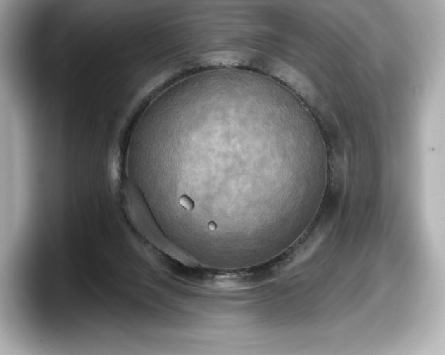 X0000098110064200804111103
