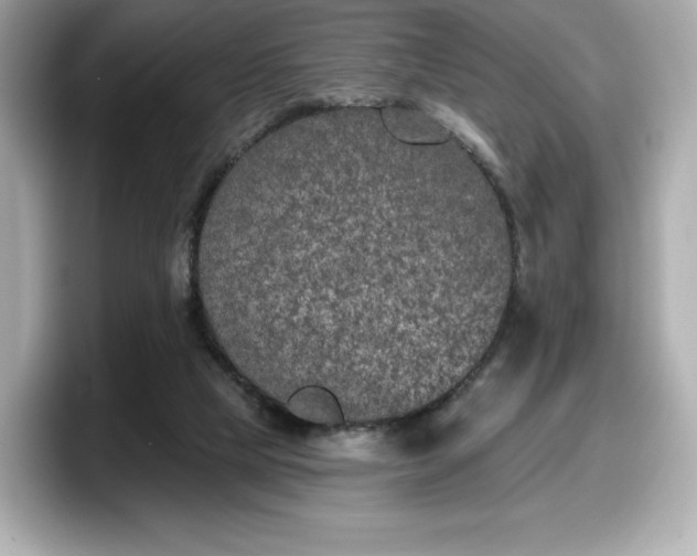 X0000098110065200804111103