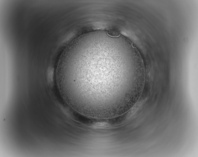 X0000098110066200804111103