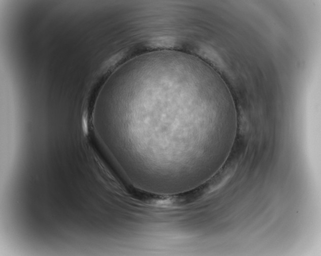 X0000098110068200804111103