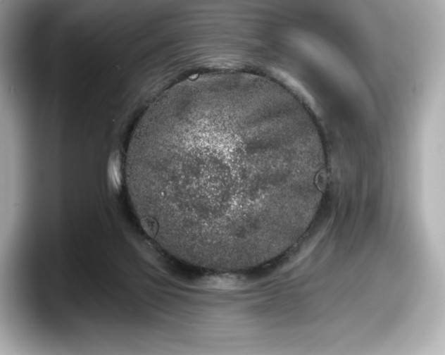 X0000098110069200804111103