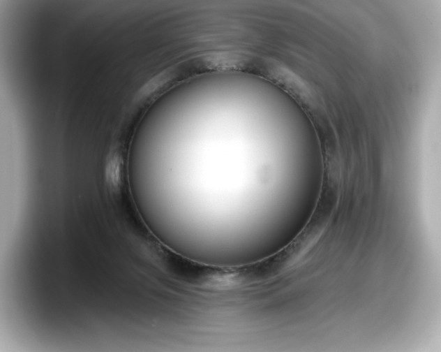 X0000098110071200804111103