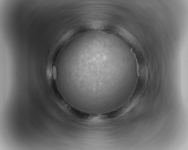 X0000098110072200804111103