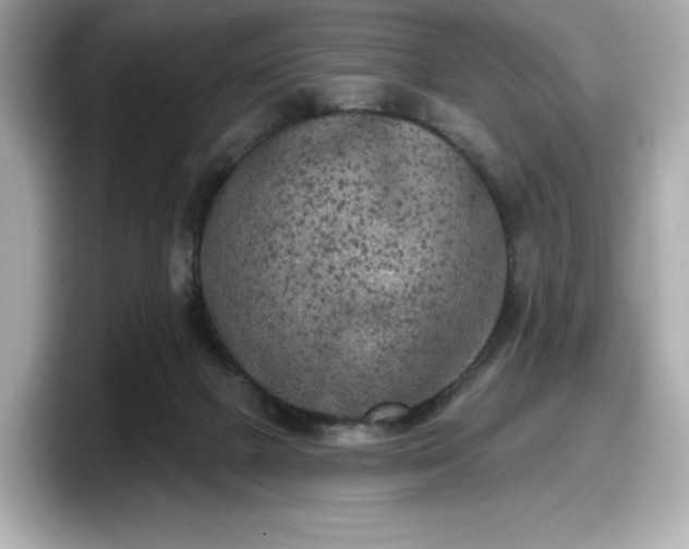 X0000098110073200804111103