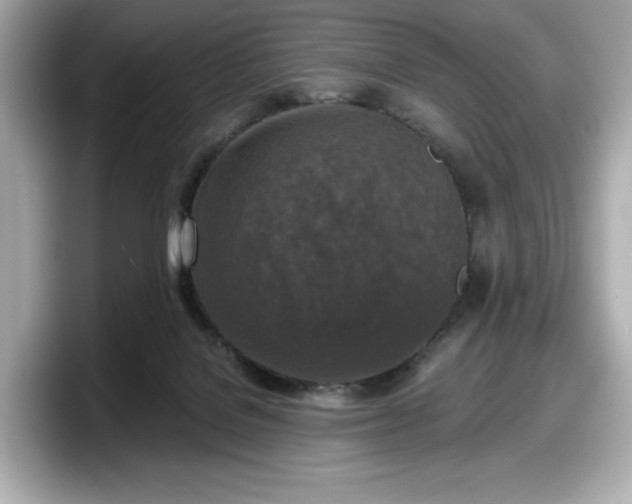 X0000098110076200804111103
