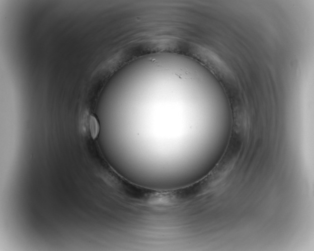 X0000098110077200804111103