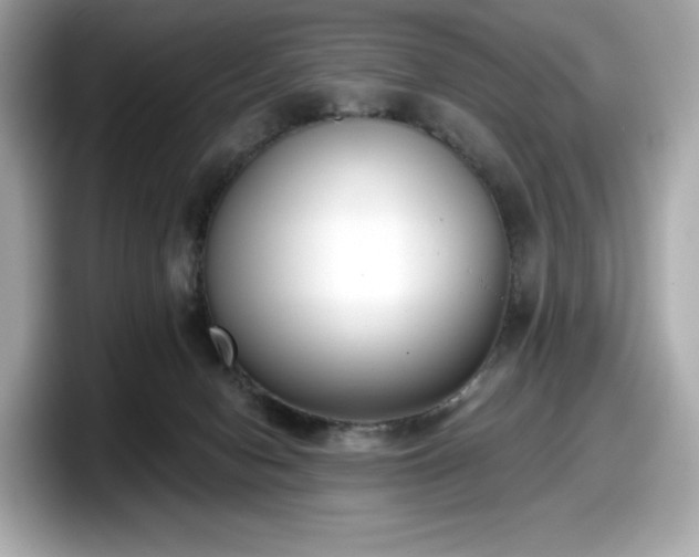 X0000098110078200804111103