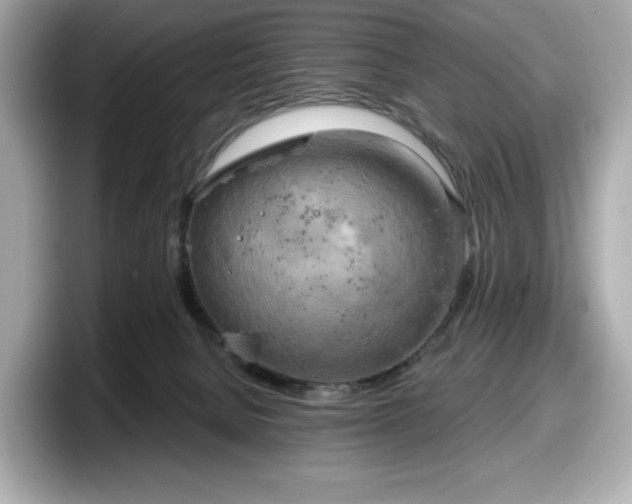 X0000098110080200804111103